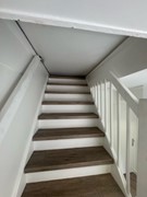 IMG_5608 Medium.jpeg